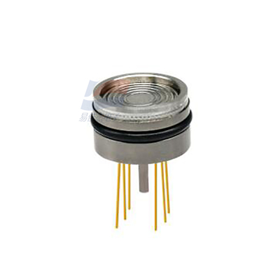 ADS21 Diffuse Silicon Gauge Pressure Sensor Szybka reakcja