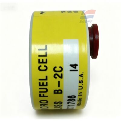 YJJ C06689-B2C Class B-2C 0-10ppm Trace Oxygen Sensor dla półprzewodnikowej produkcji elektronicznej